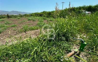 MENEMEN TÜRKELLİ SATILIK TARLA SU VE ÇİTİ MEVCUTTUR 3,300M2