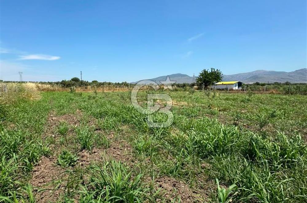 MENEMEN TÜRKELLİ SATILIK TARLA SU VE ÇİTİ MEVCUTTUR 3,300M2
