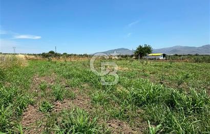 MENEMEN TÜRKELLİ SATILIK TARLA SU VE ÇİTİ MEVCUTTUR 3,300M2