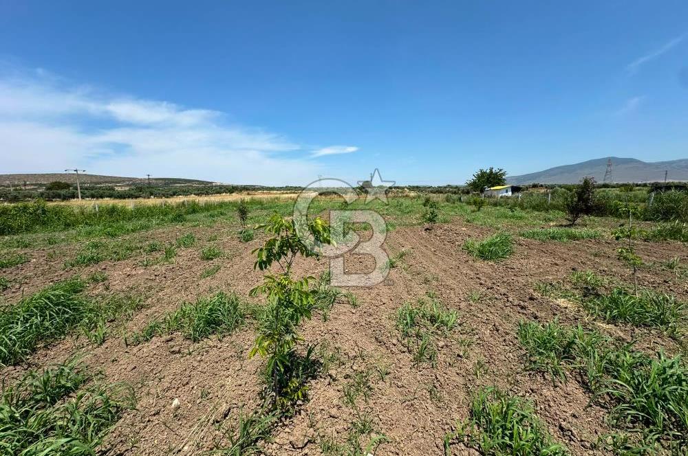 MENEMEN TÜRKELLİ SATILIK TARLA SU VE ÇİTİ MEVCUTTUR 3,300M2