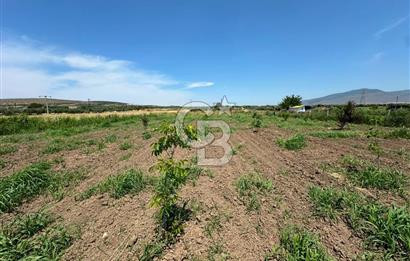 MENEMEN TÜRKELLİ SATILIK TARLA SU VE ÇİTİ MEVCUTTUR 3,300M2