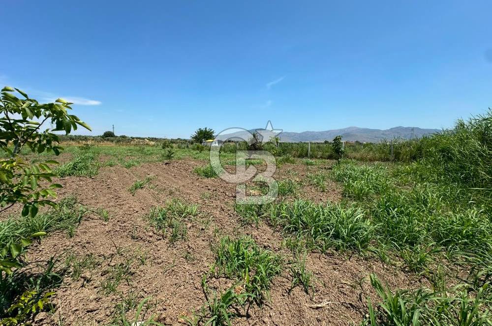 MENEMEN TÜRKELLİ SATILIK TARLA SU VE ÇİTİ MEVCUTTUR 3,300M2