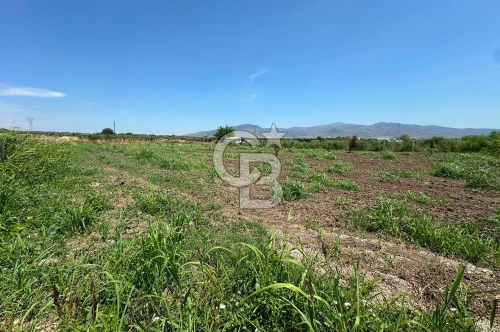 MENEMEN TÜRKELLİ SATILIK TARLA SU VE ÇİTİ MEVCUTTUR 3,300M2