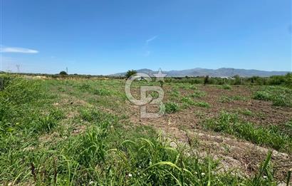 MENEMEN TÜRKELLİ SATILIK TARLA SU VE ÇİTİ MEVCUTTUR 3,300M2