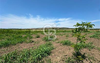 MENEMEN TÜRKELLİ SATILIK TARLA SU VE ÇİTİ MEVCUTTUR 3,300M2