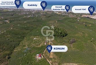CB ENVOY Sakarya Kocaali'de Satılık Deniz Manzaralı 890 m2 Arsa - 5 - 351723