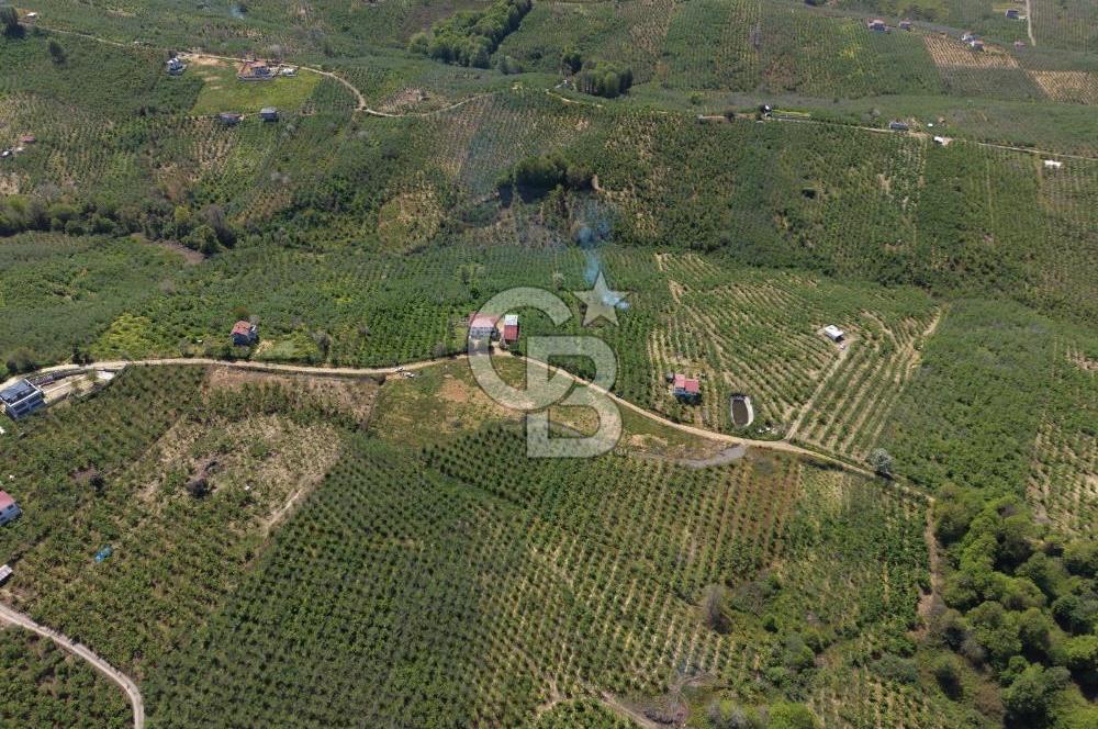 CB ENVOY Sakarya Kocaali'de Satılık Deniz Manzaralı 890 m2 Arsa