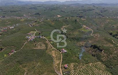 CB ENVOY Sakarya Kocaali'de Satılık Deniz Manzaralı 890 m2 Arsa
