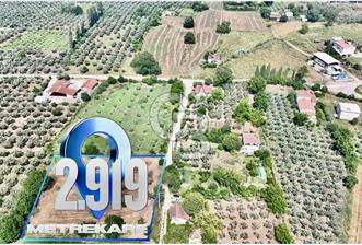 Gençali Köy Yerleşimi İçerisinde Satılık Tarla - 4 - 351752