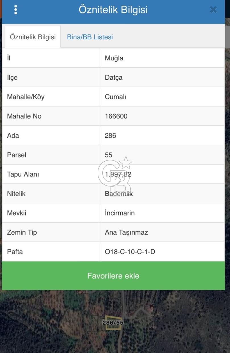 DATÇA CUMALI MAHALLESİ'NDE 1997m2 SATILIK BADEMLİK