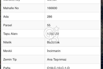 DATÇA CUMALI MAHALLESİ'NDE 1997m2 SATILIK BADEMLİK - 6 - 351790