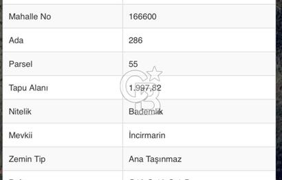 DATÇA CUMALI MAHALLESİ'NDE 1997m2 SATILIK BADEMLİK
