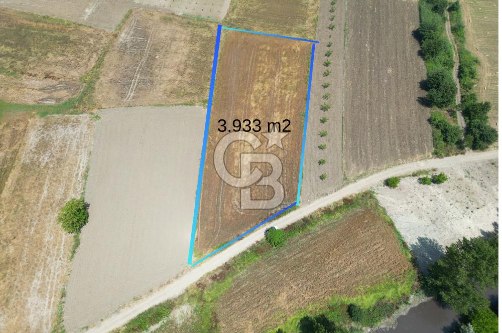 MUDANYA BALABANCIK'ta FIRSAT FİYATLI 3.933 m2 TARLA