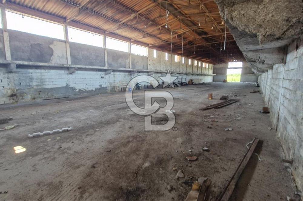 İzmir Menemen Günerli'de 700m² Kapalı Alanlı Kiralık Depo CB PH