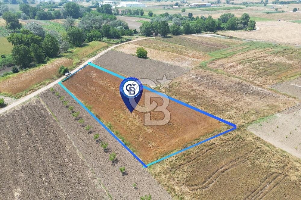 MUDANYA BALABANCIK'ta FIRSAT FİYATLI 3.933 m2 TARLA