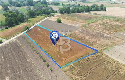 MUDANYA BALABANCIK'ta FIRSAT FİYATLI 3.933 m2 TARLA