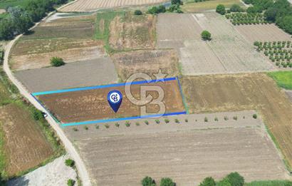 MUDANYA BALABANCIK'ta FIRSAT FİYATLI 3.933 m2 TARLA