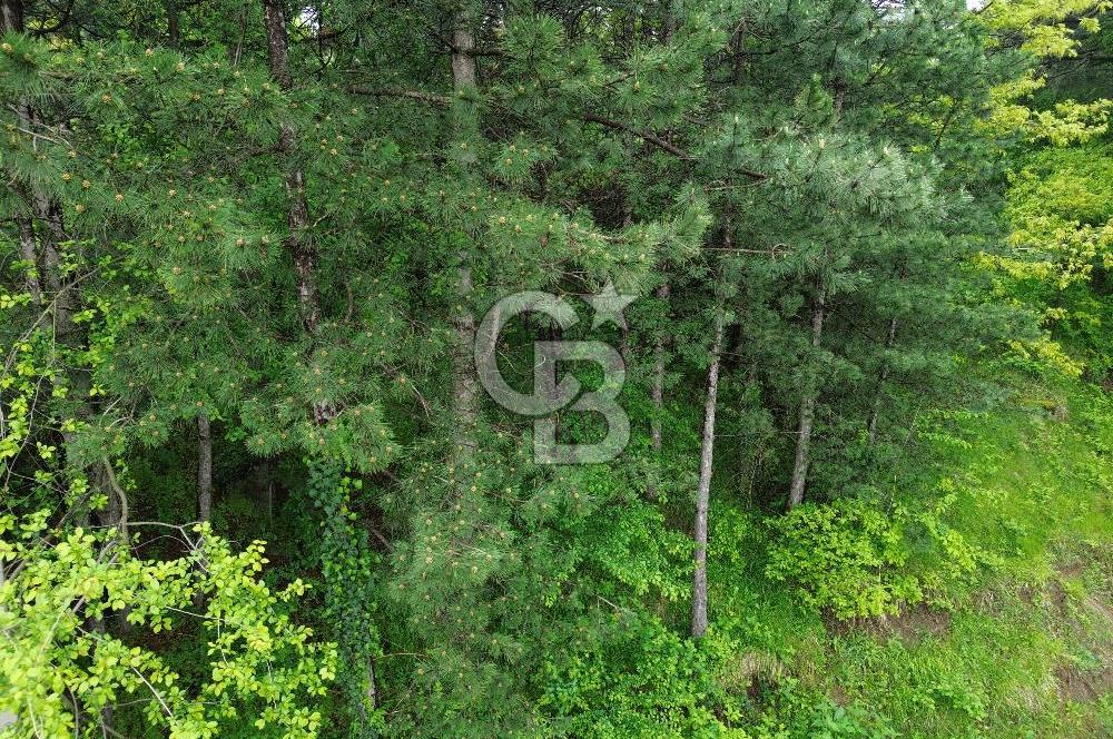 KESTEL ALAÇAM'DA 795 M2 ARSA