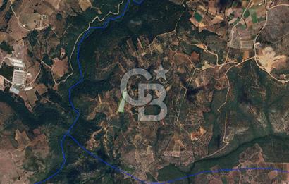 İZNİK MAHMUDİYE'DE GELECEĞE YATIRIM: 7.533 m² GENİŞ BAĞ VE TARLA