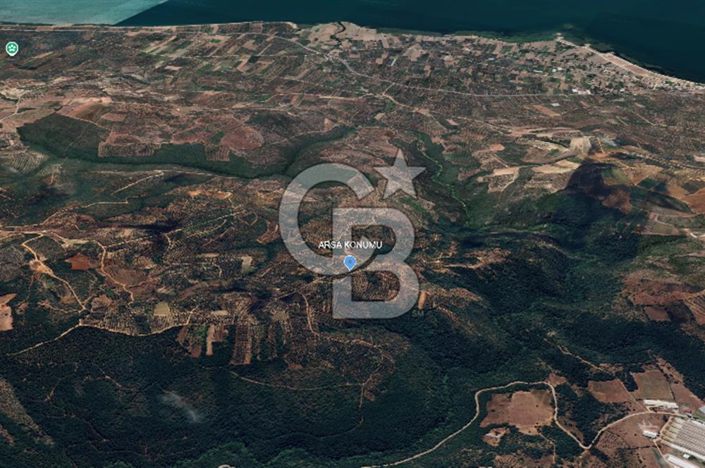 İZNİK MAHMUDİYE'DE GELECEĞE YATIRIM: 7.533 m² GENİŞ BAĞ VE TARLA