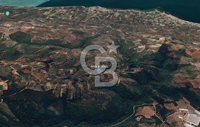 İZNİK MAHMUDİYE'DE GELECEĞE YATIRIM: 7.533 m² GENİŞ BAĞ VE TARLA