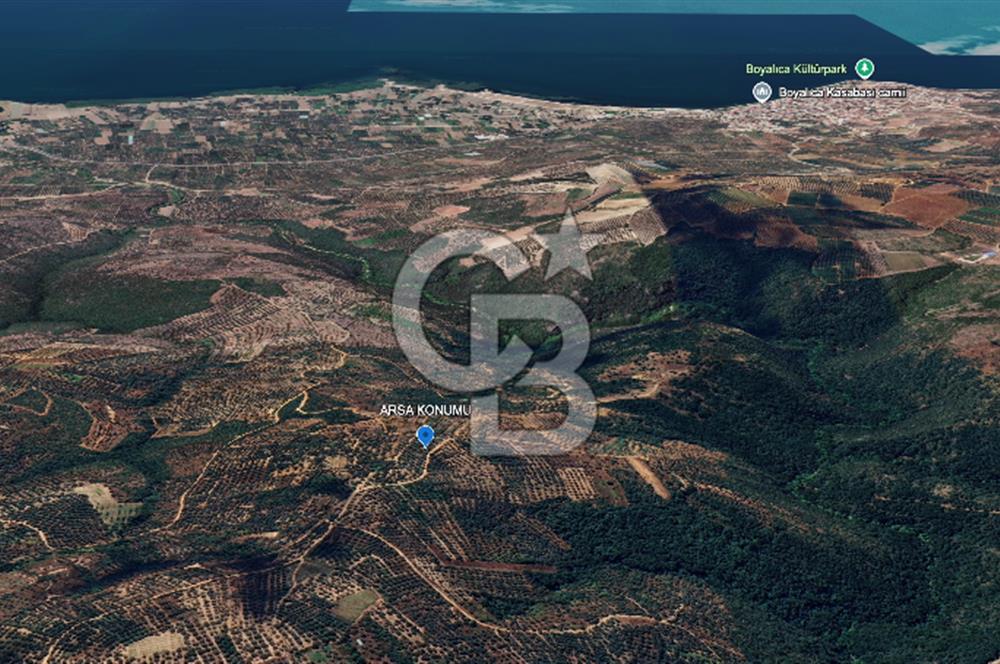 İZNİK MAHMUDİYE'DE GELECEĞE YATIRIM: 7.533 m² GENİŞ BAĞ VE TARLA