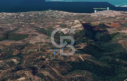 İZNİK MAHMUDİYE'DE GELECEĞE YATIRIM: 7.533 m² GENİŞ BAĞ VE TARLA
