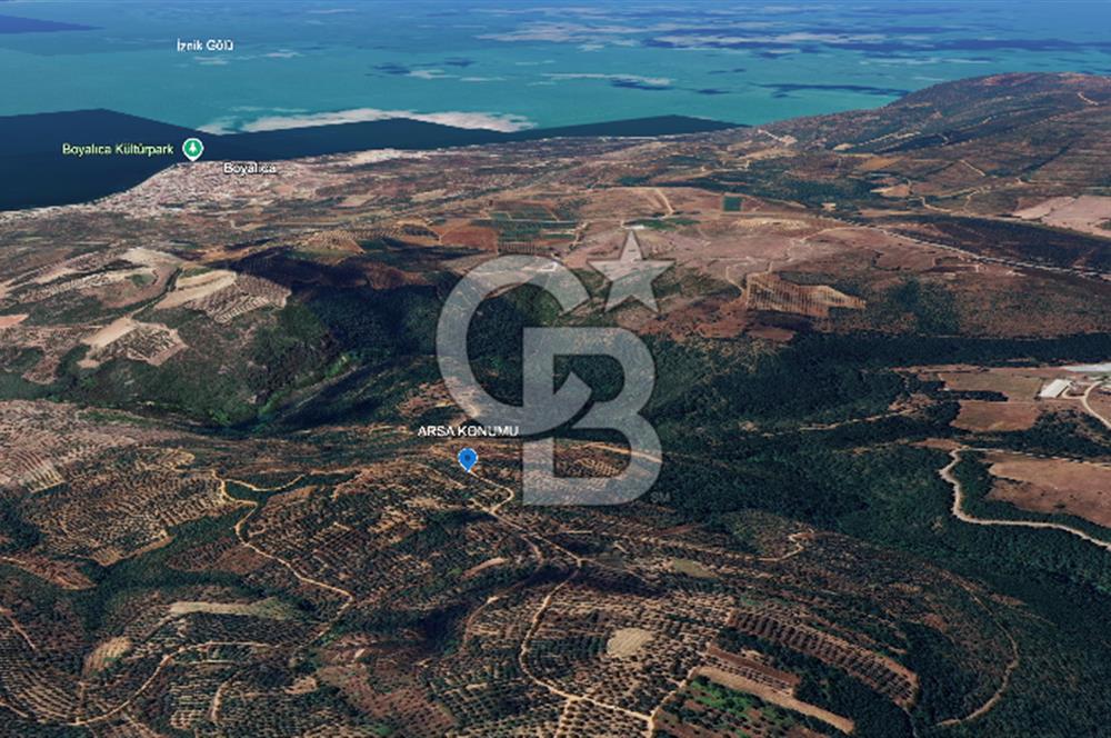 İZNİK MAHMUDİYE'DE GELECEĞE YATIRIM: 7.533 m² GENİŞ BAĞ VE TARLA