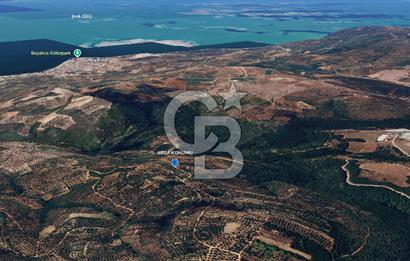İZNİK MAHMUDİYE'DE GELECEĞE YATIRIM: 7.533 m² GENİŞ BAĞ VE TARLA