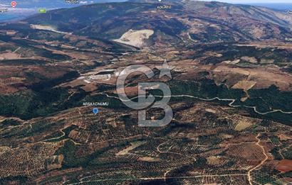 İZNİK MAHMUDİYE'DE GELECEĞE YATIRIM: 7.533 m² GENİŞ BAĞ VE TARLA