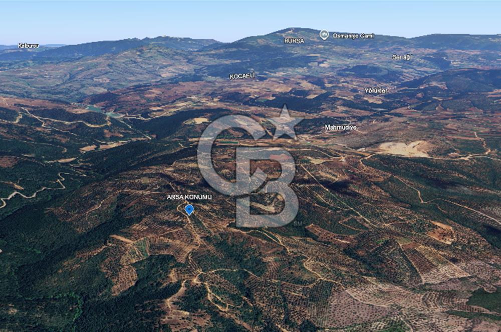 İZNİK MAHMUDİYE'DE GELECEĞE YATIRIM: 7.533 m² GENİŞ BAĞ VE TARLA