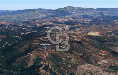 İZNİK MAHMUDİYE'DE GELECEĞE YATIRIM: 7.533 m² GENİŞ BAĞ VE TARLA