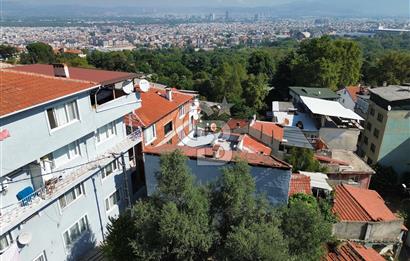 BURSA ÇEKİRGE'DE SATILIK 305 METREKARE BAĞ