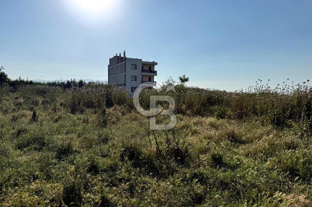 Turgutlu Albayrak Mahallesinde 4 Kat İmarlı Konut Arsası