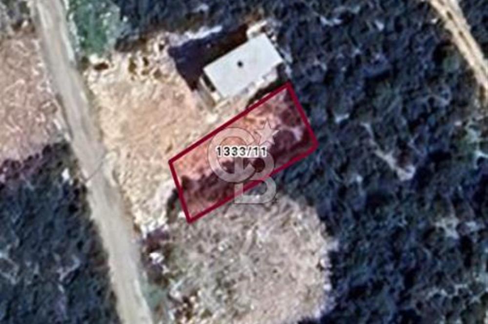 Aydın,Didim,Akyeniköy,Bozseki'de müstakil tarla