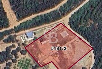 Seferihisar Payamlı Satılık Arsa - 1 - 351835