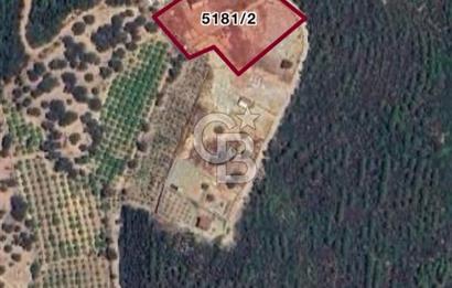 Seferihisar Payamlı Satılık Arsa