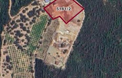 Seferihisar Payamlı Satılık Arsa