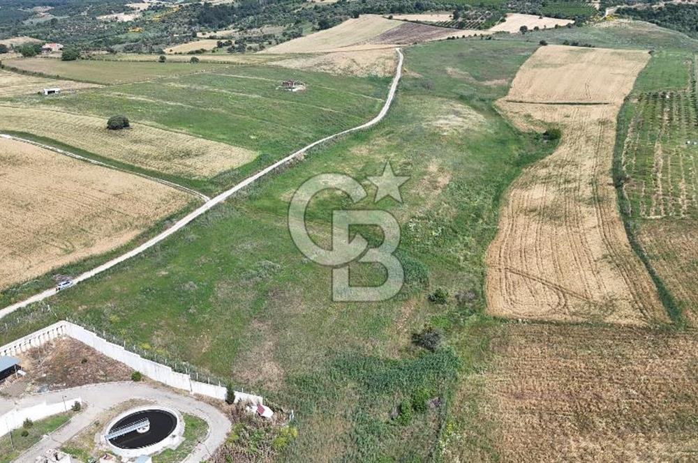 ÇANAKKALE LAPSEKİDE İMARLI FIRSAT ARSA