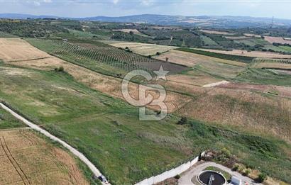 ÇANAKKALE LAPSEKİDE İMARLI FIRSAT ARSA