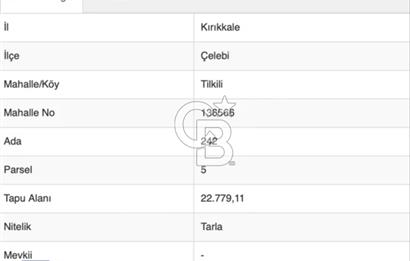 Çelebi'de Yola Cephe, Kök Tapulu 22.780 m² Satılık Tarla