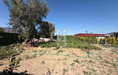 800m2 TARLA İÇERİSİNDE 2+1 HAVUZLU MÜSTAKİL EV