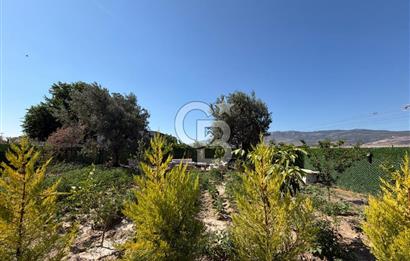800m2 TARLA İÇERİSİNDE 2+1 HAVUZLU MÜSTAKİL EV