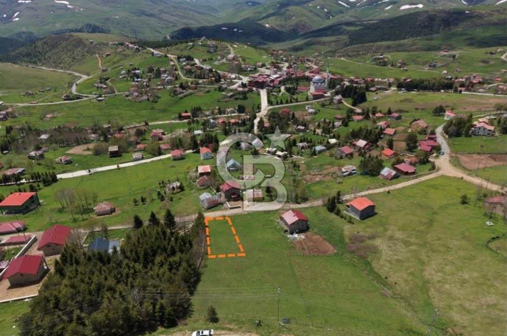Ordu Çambaşı’nda satılık arsa