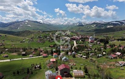 Ordu Çambaşı’nda satılık arsa