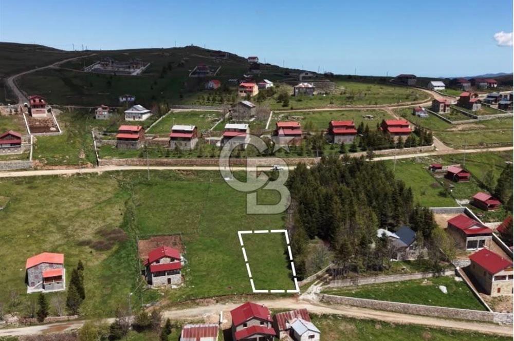 Ordu Çambaşı’nda satılık arsa