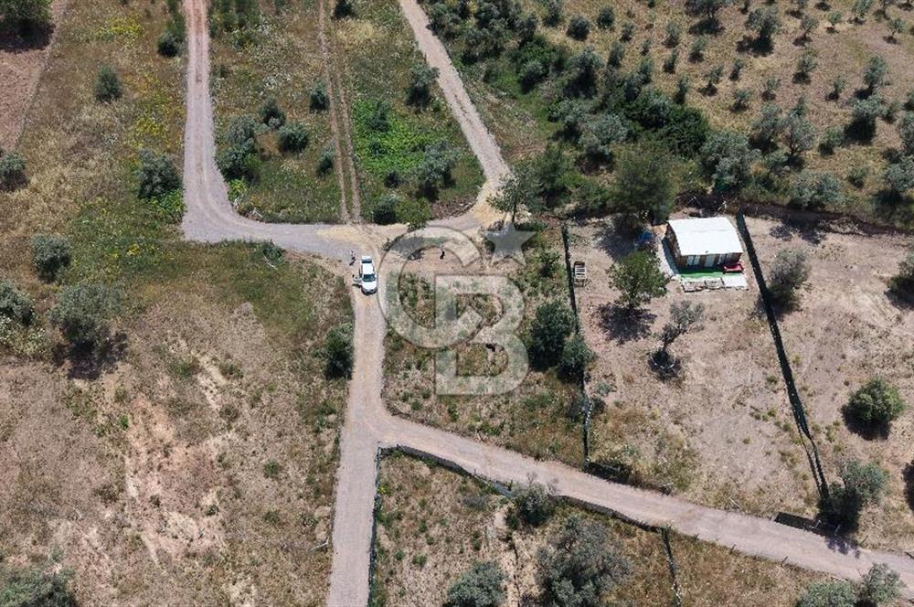 Buca Kırklar Köyü Merkeze Yakın Alt Yapısı Hazır Arsa