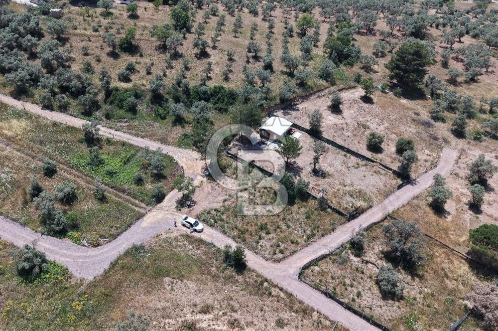 Buca Kırklar Köyü Merkeze Yakın Alt Yapısı Hazır Arsa
