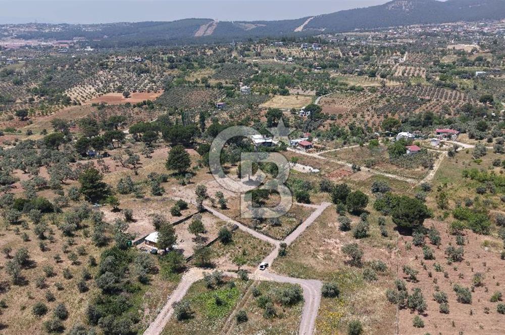 Buca Kırklar Köyü Merkeze Yakın Alt Yapısı Hazır Arsa