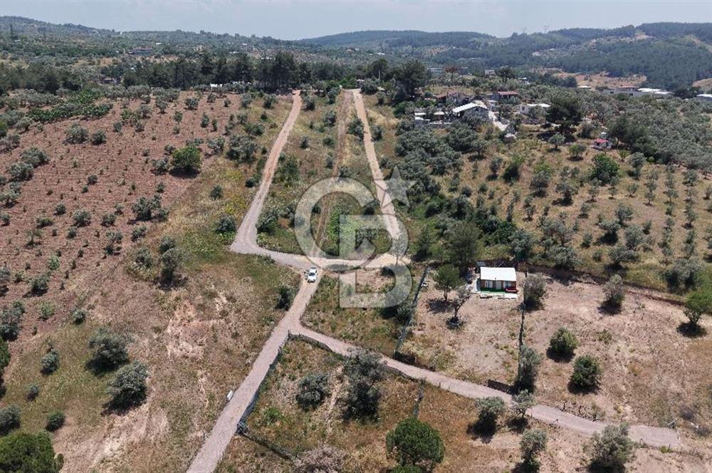 Buca Kırklar Köyü Merkeze Yakın Alt Yapısı Hazır Arsa